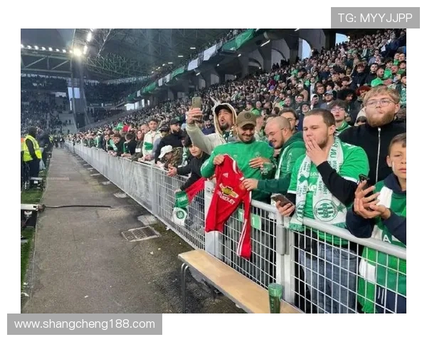 法甲里昂球迷协会活动的组织与文化传承